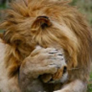 Meet your Posher, Carlos